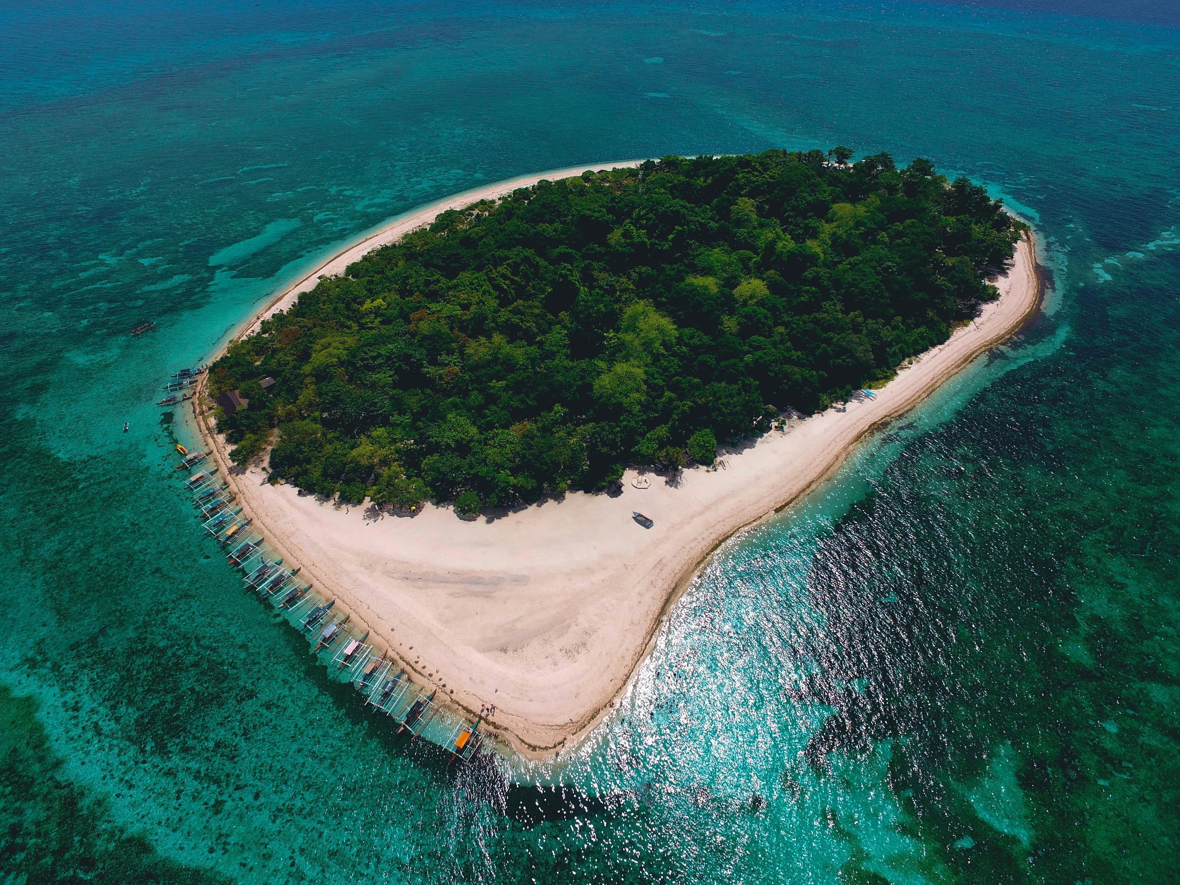 Picturesque tropical beach with palm trees in the Philippines