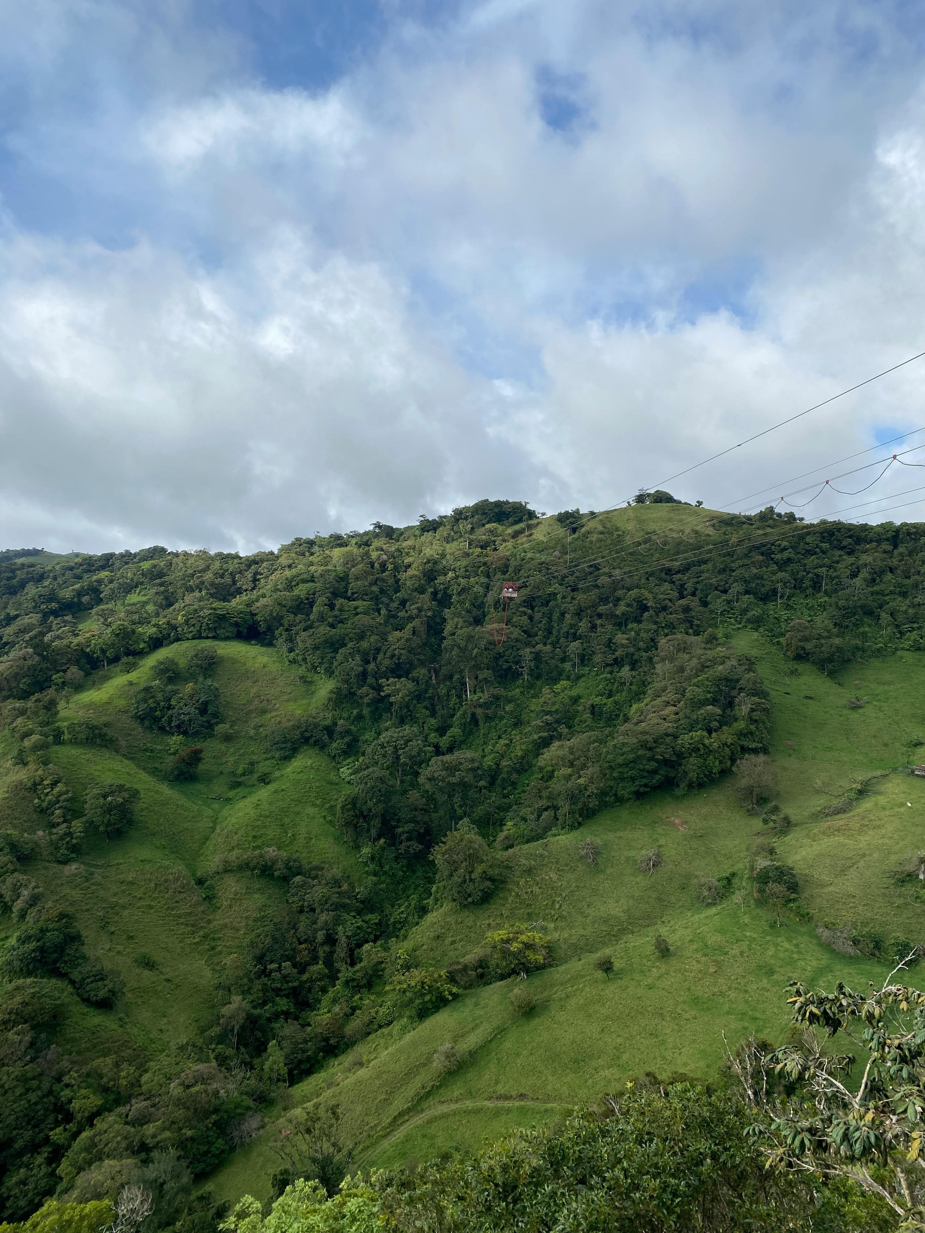 Monteverde Cloud Forest