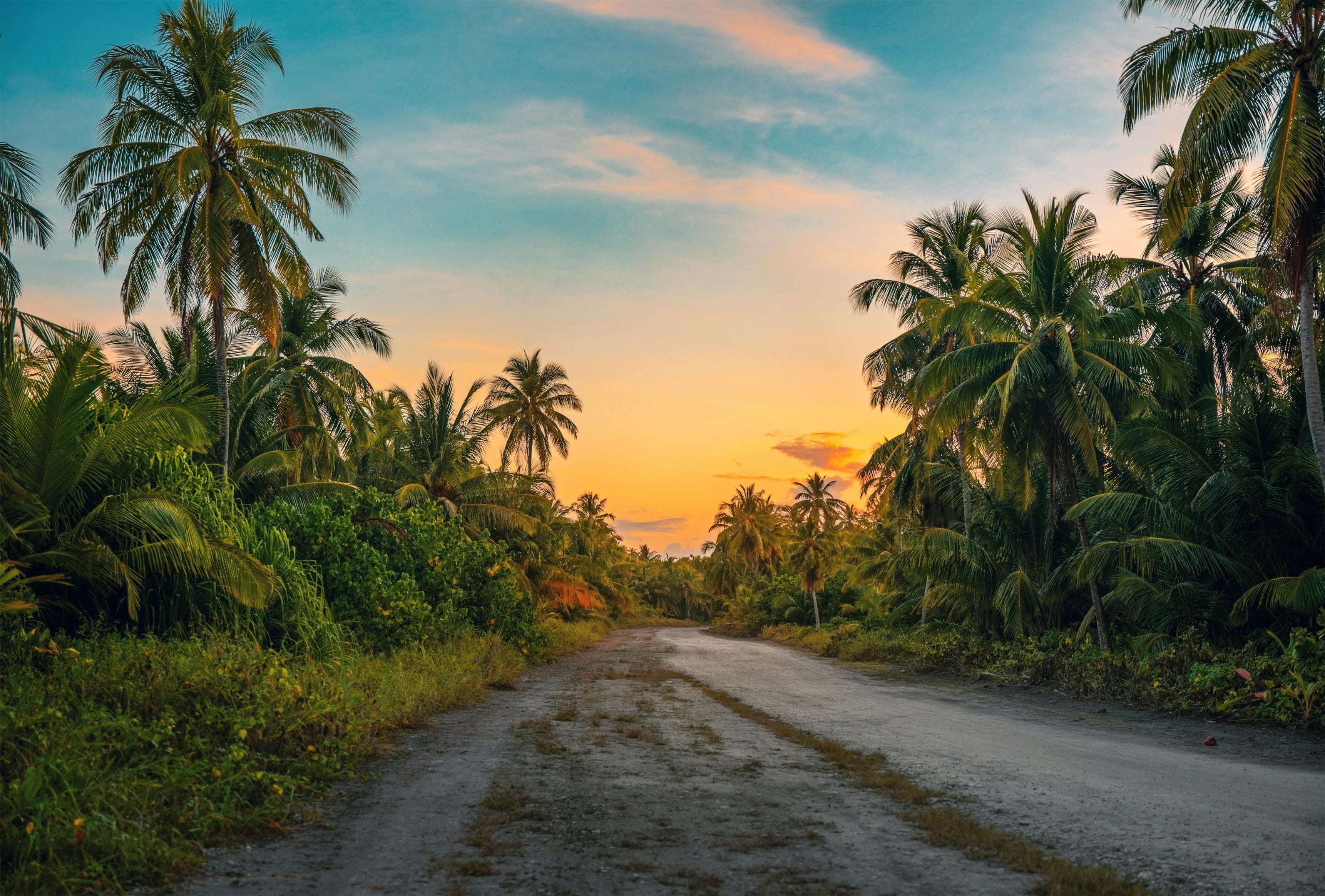 Tropical Tales & Trails